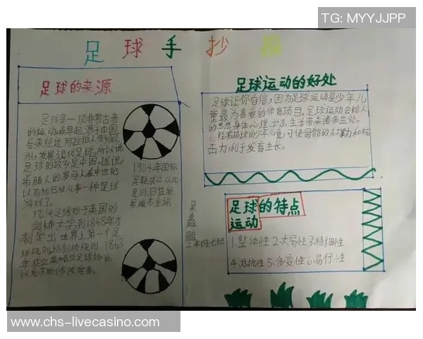 另类足球的魅力与挑战探索非传统足球文化的多样性与发展潜力